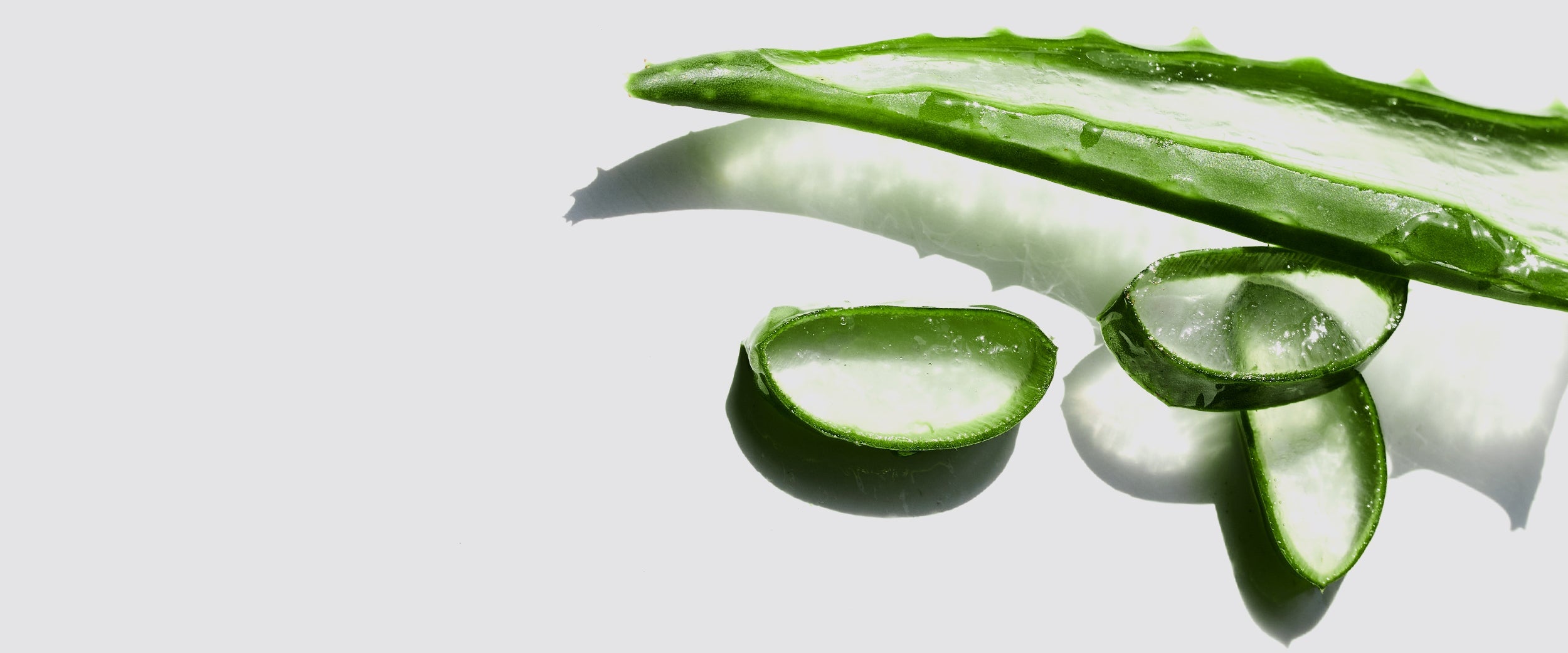 Aloe Vera Ekstrakt